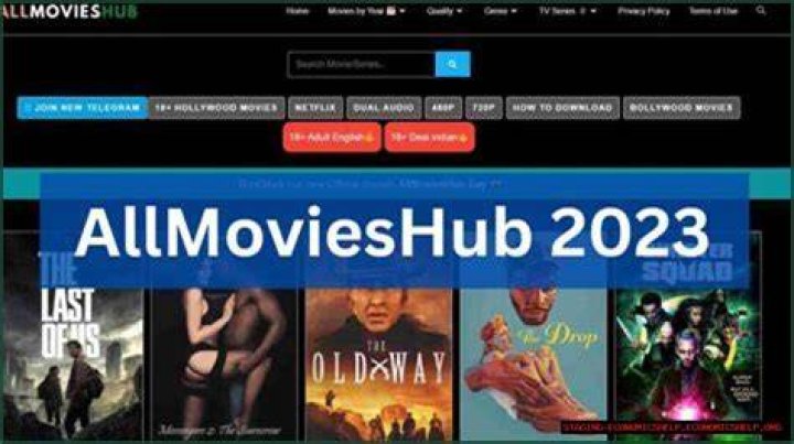 All Movie Hub 300MB: Your Ultimate Guide to Downloading Movies