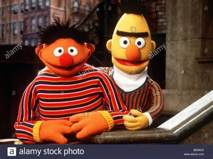 Bert: The Quirky and Endearing Personality of Sesame Street