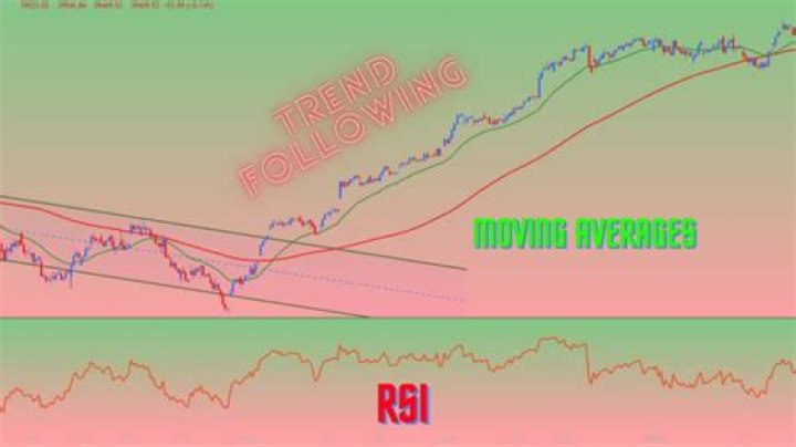 Boll4u: Your Ultimate Guide to Understanding the Trend