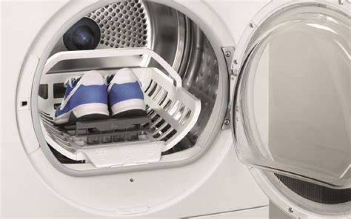 Can You Safely Put Shoes in the Dryer? Everything You Need to Know