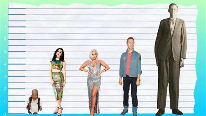 Charli XCX Weight and Height: A Comprehensive Overview