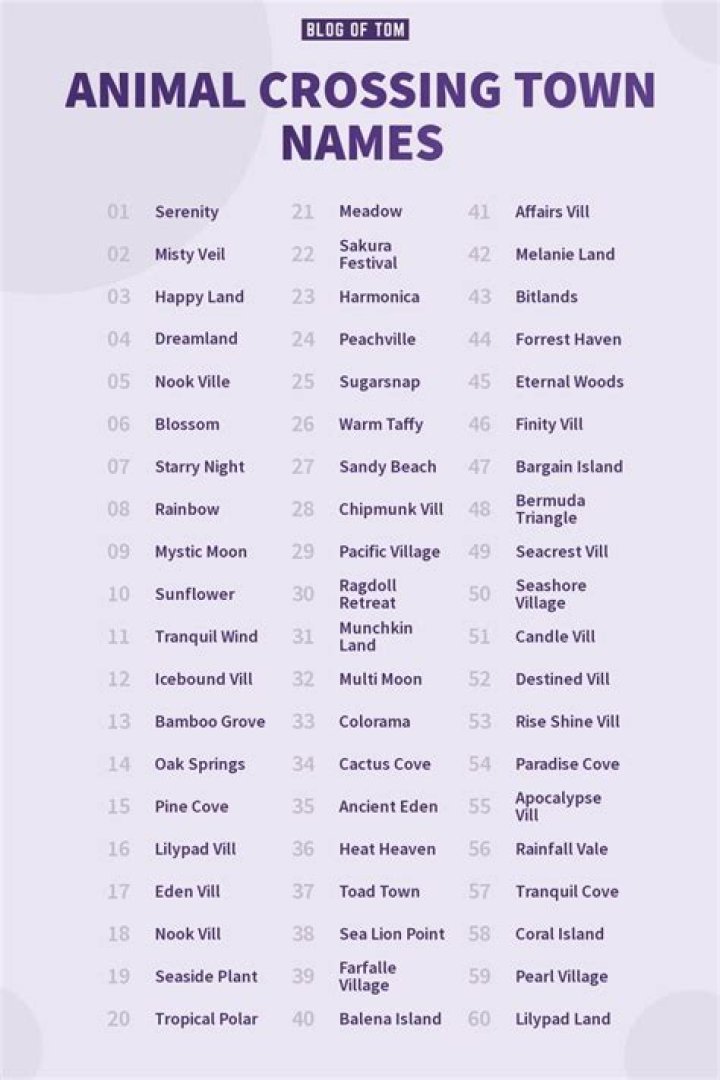 Choosing the Perfect Animal Crossing Town Name