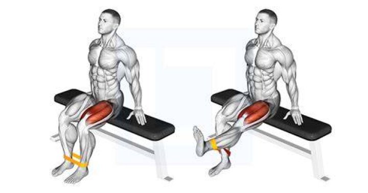 Couch Leg Extensions: The Ultimate Guide to Strengthening Your Lower Body