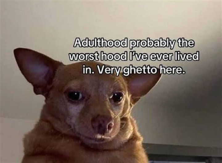 Discover Hilarious Hood Memes for a Good Laugh