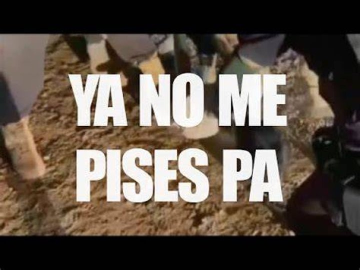 Discovering the Meaning Behind "Ya No Me Pises Pa"