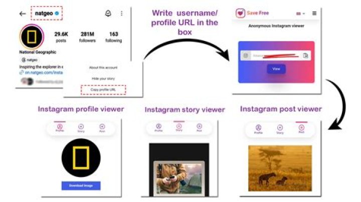 Discovering the World of Instagram Profile Viewer: A Comprehensive Guide