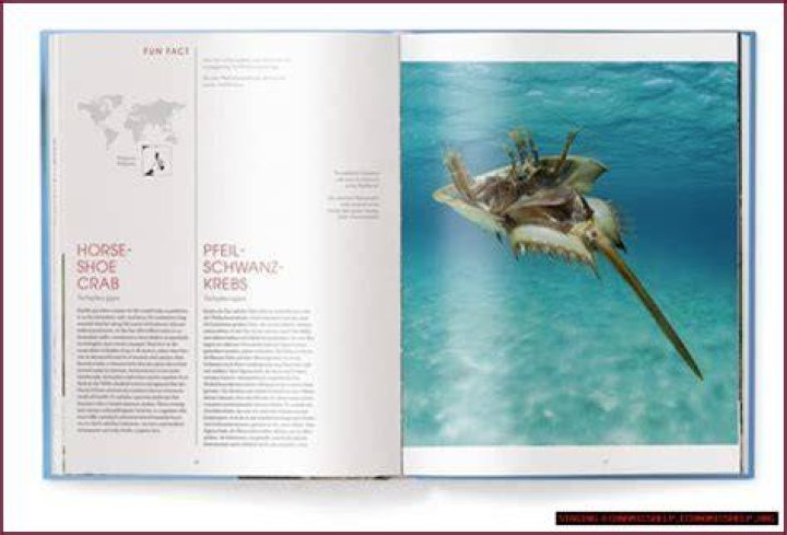 Discovering the World of masa49.com