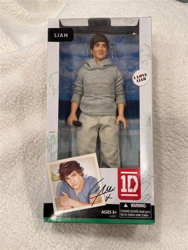 Discovering the World of the Liam Payne Barbie Doll