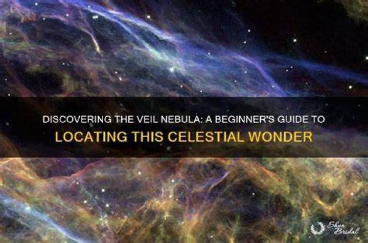 Discovering Vega: The Celestial Wonder