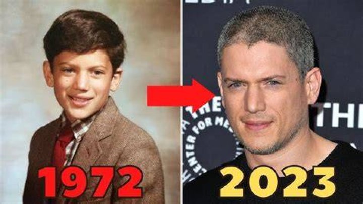 Discovering Wentworth Miller: A Journey Through His Life and Career