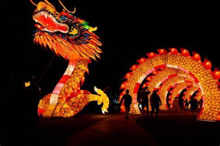 Dragon Lights Reno: A Spectacular Light Show Experience