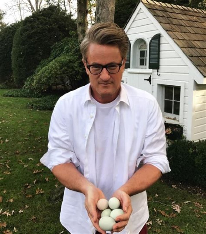 Exploring Joe Scarborough's Health Journey: Illness in 2024