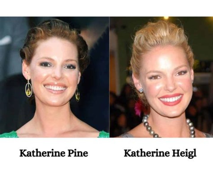Exploring Katherine Pine's Acting Journey: What’s Has Katherine Pine Been In?