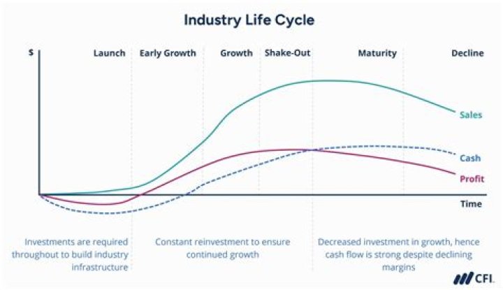 Exploring Mature Videos: Understanding the Industry and Its Implications