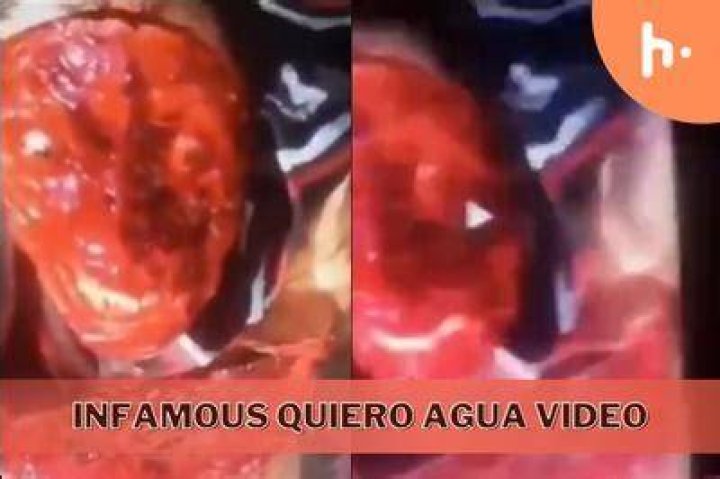 Exploring the Dark Side: The Quiero Agua Video Gore Phenomenon