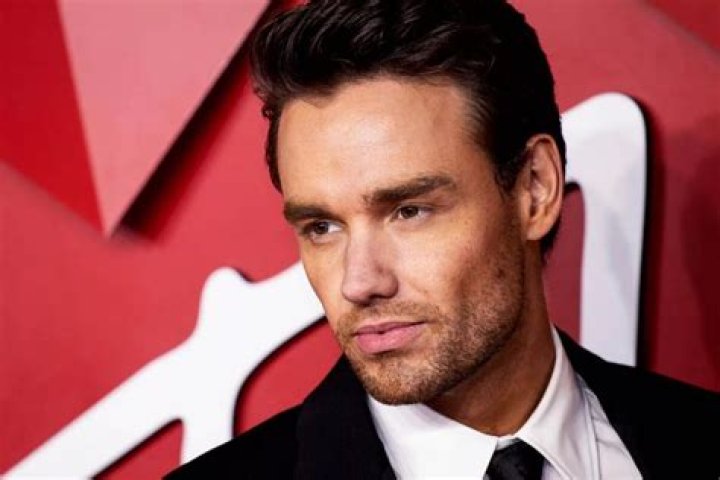 Exploring the Talents of Liam Payne as a Voice Actor