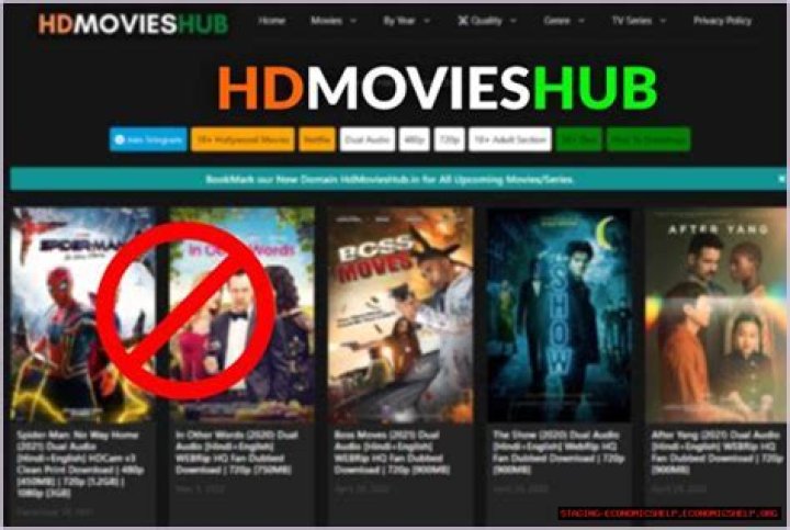 Exploring the World of HDMoviesHub: Your Gateway to Movies