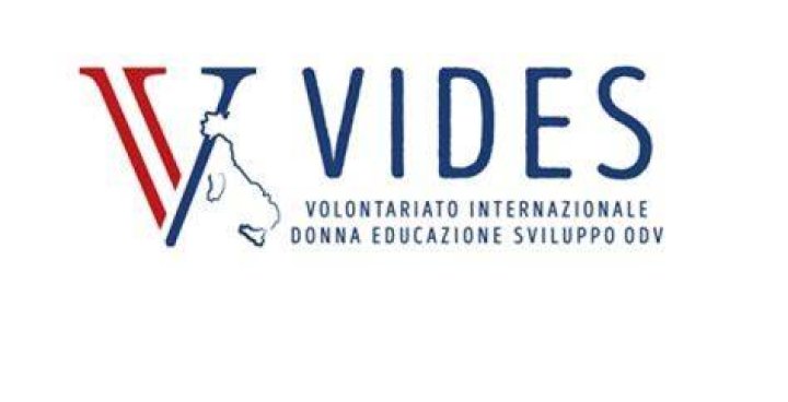 Exploring the World of Vides: A Comprehensive Guide