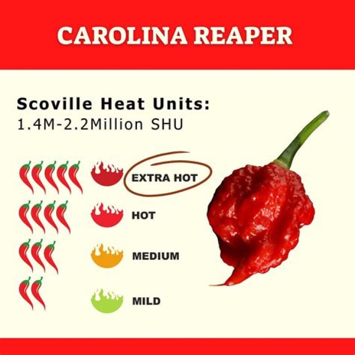 Extreme Heat: The Carolina Reaper Pepper's Scorching Scoville Rating