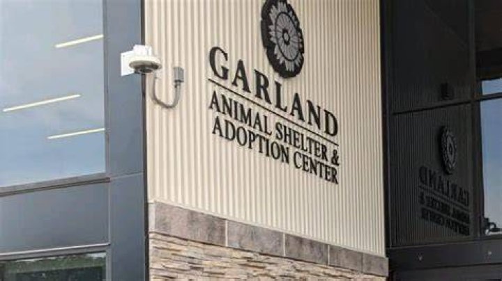 Garland Animal Shelter: A Beacon of Hope for Homeless Pets