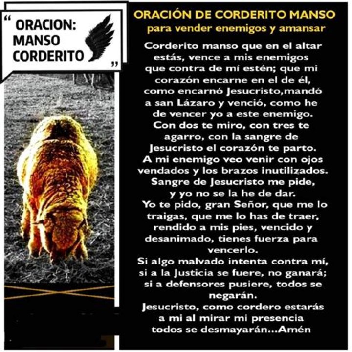 La Oración del Manso Cordero: Un Camino de Fe y Esperanza