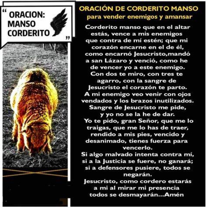 La Poderosa Oración de Cordero Manso: Un Camino hacia la Paz Interior