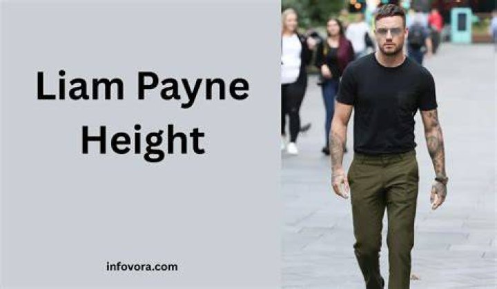 Liam Payne: A Closer Look at His Celebheights