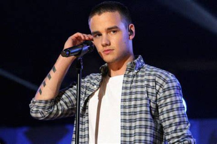 Liam Payne and His Musical Instruments: A Journey of Sound