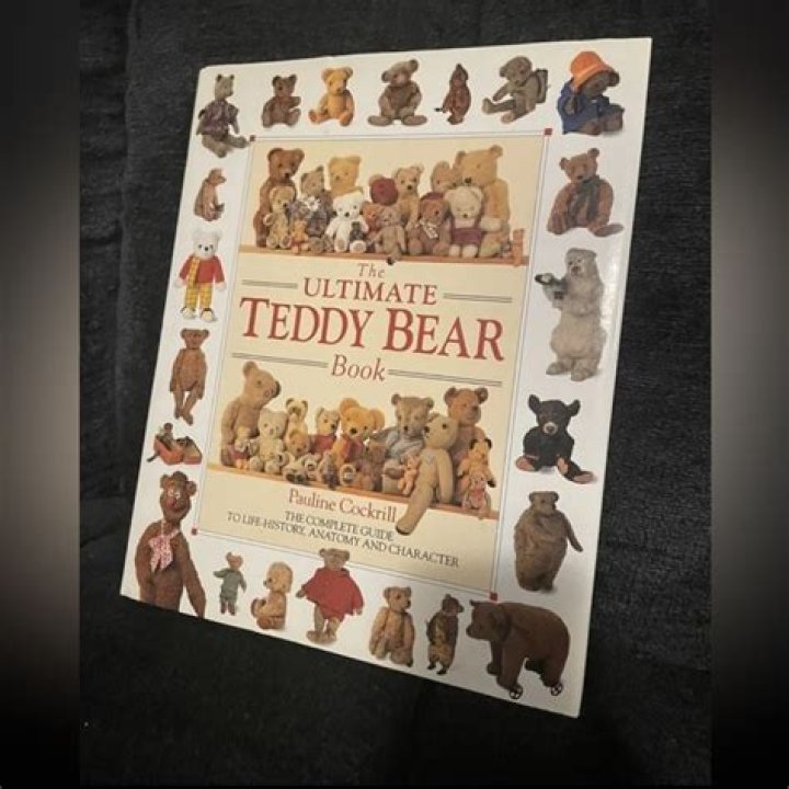 Maidi Bear: The Ultimate Guide to the Iconic Teddy Bear