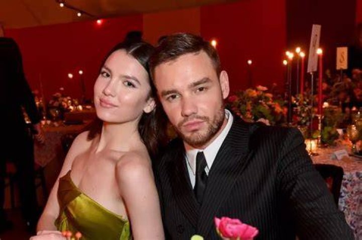 Nina Dobrev and Liam Payne: A Fascinating Connection