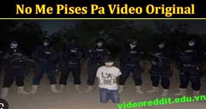 No Me Pises Pa Seegore: A Cultural Phenomenon