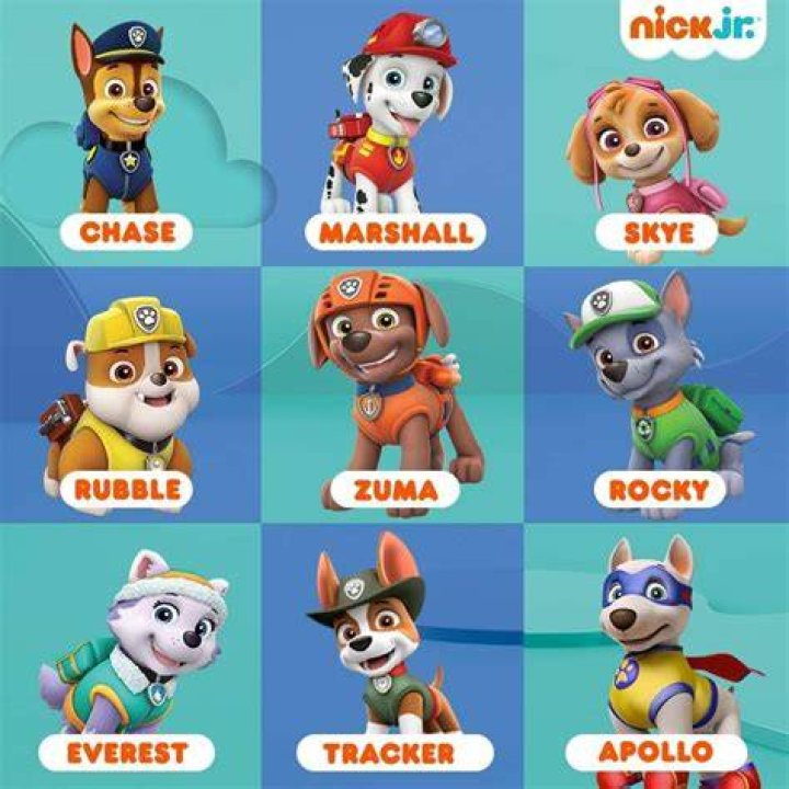 Paw Patrol Adventures: Discovering Character Names and Pictures