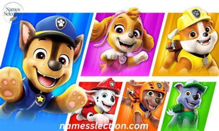 Paw Patrol Characters Names: Meet the Brave Pups of Adventure Bay