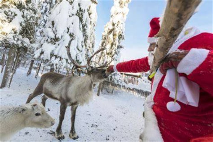 Santas Reindeer's Names: A Comprehensive Guide to the Magical Christmas Crew