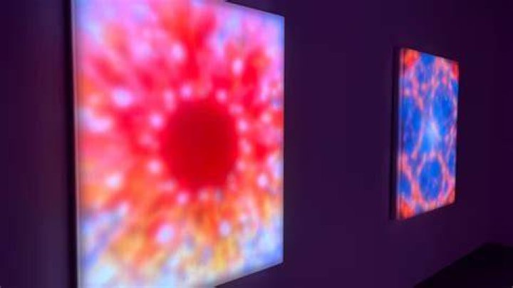 Sophie Rainerome: The Rising Star in Contemporary Art