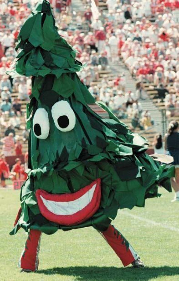 The Stanford Tree: The Iconic Mascot of Stanford University