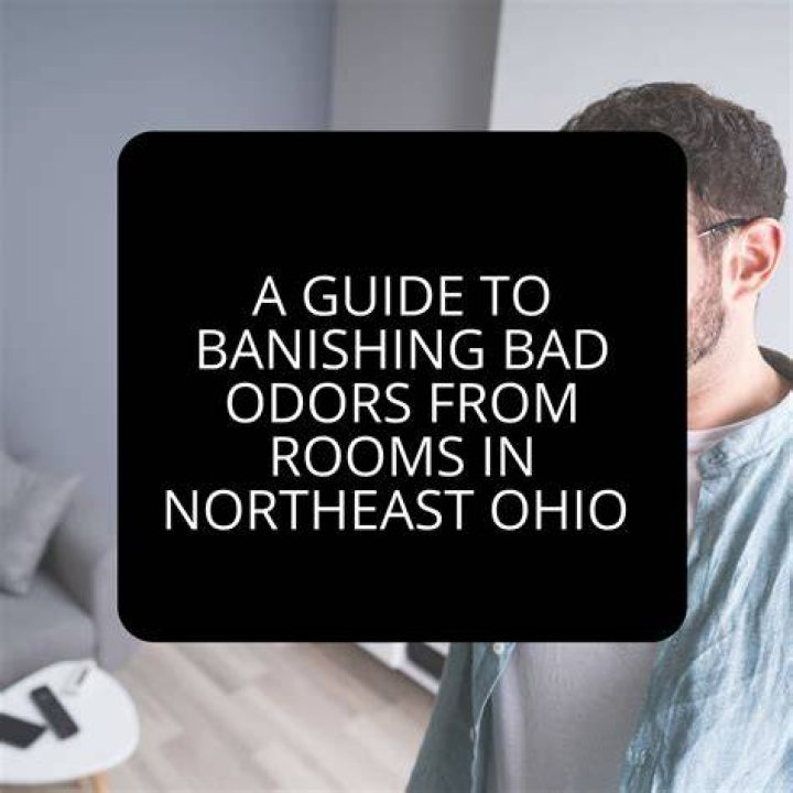 The Ultimate Guide to Banishing Burnt Odors from Your Home
