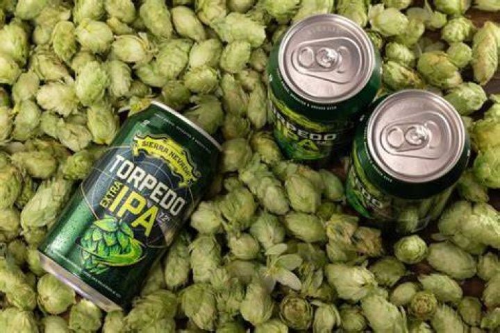 The Ultimate Guide to IPA Beers: Understanding the Meaning Behind the Hops