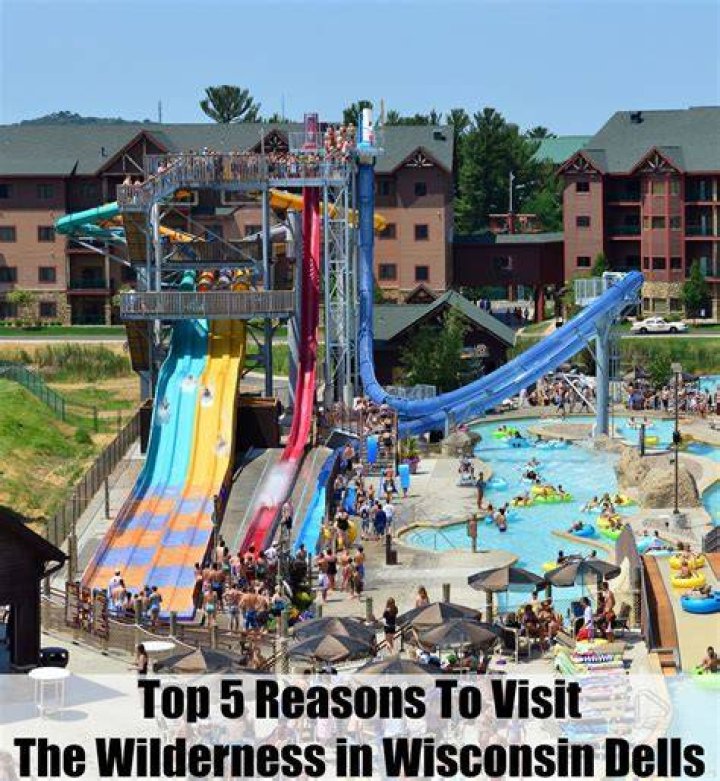 The Wilderness Cabins Wisconsin Dells: Your Ultimate Guide to Nature and Luxury