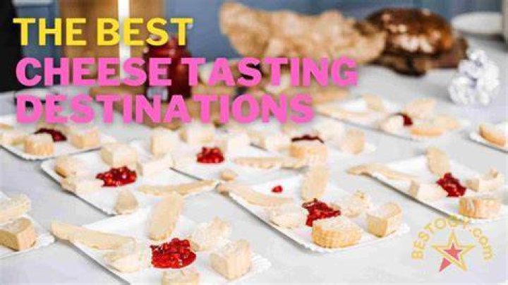 Thechiiizone: Your Ultimate Destination for All Things Cheese