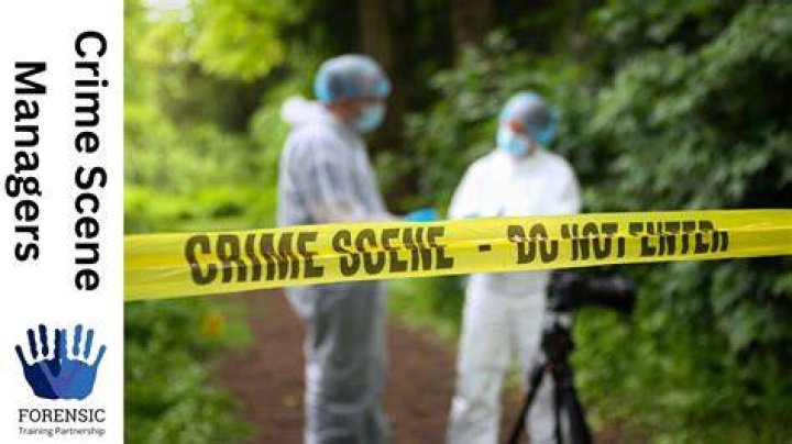 Understanding Crime Scene Photos: The Role of Gypsies in Crime Investigation