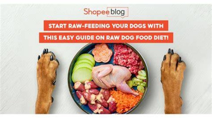 Understanding the Raw Dog Lifestyle: A Comprehensive Guide