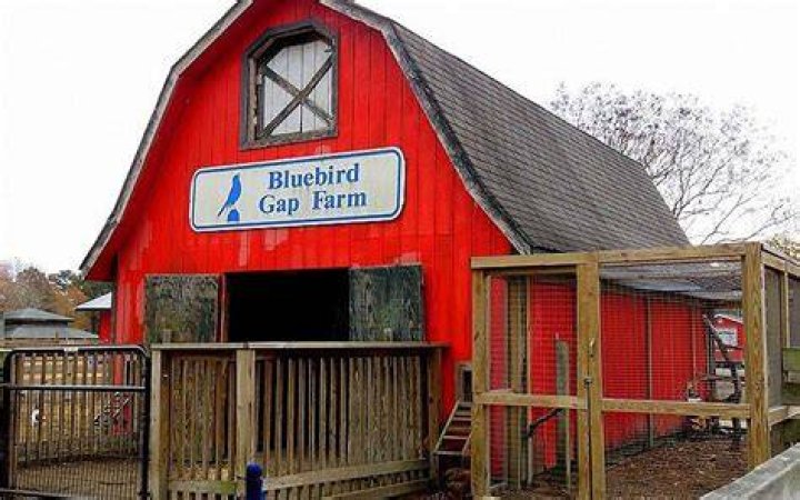 Unlocking the Secrets of Bluebird Gap Farm: A Comprehensive Guide