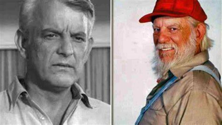 Unraveling the Legacy of Denver Pyle: A Journey Through His Life and Career