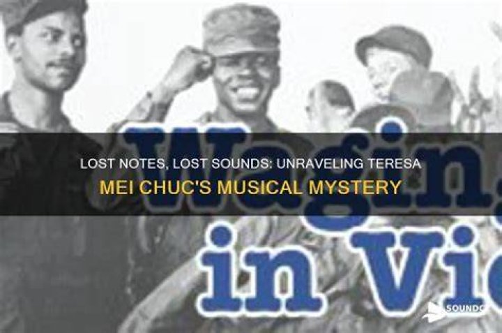 Unraveling the Mystery of the Joyy Mei Leak
