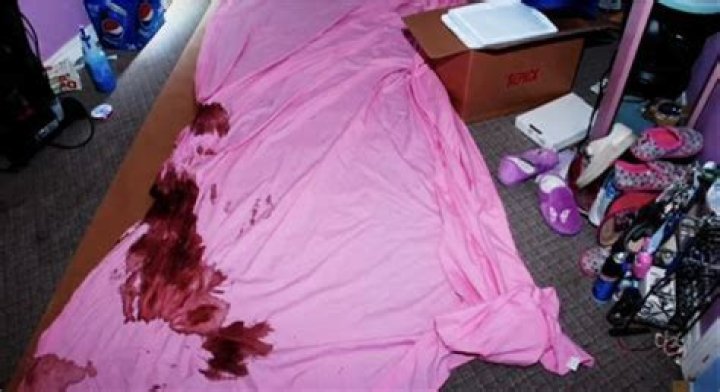 Unraveling the Mystery: The Chilling Tale Behind Gypsy Rose Crime Scene Photos