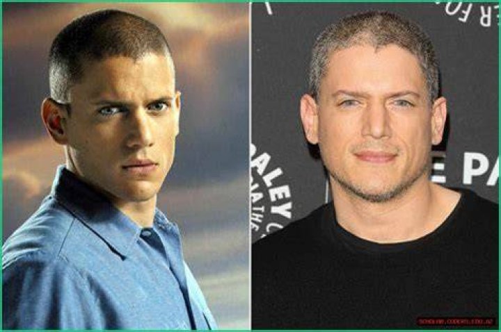 Unraveling the Mystique of Wentworth Miller's Relationships