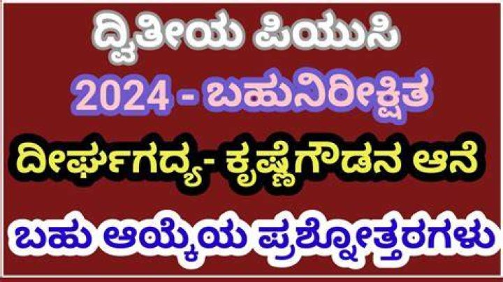Unveiling Rulz 2024: A Journey into the Kannada Realm