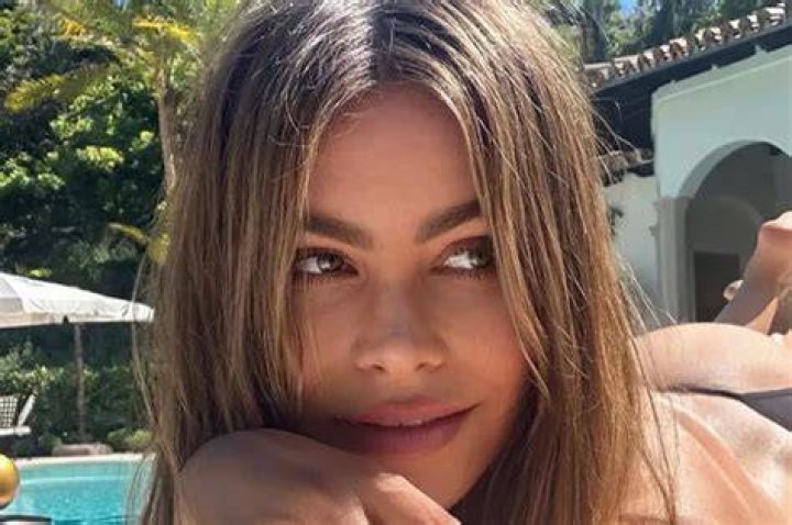 Unveiling the Allure of Sofia Vergara Naked