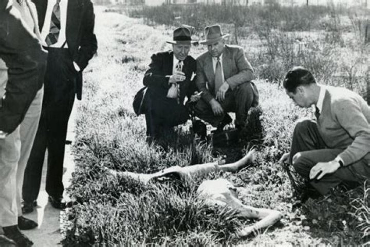 Unveiling the Black Dahlia Crime Scene: A Comprehensive Analysis